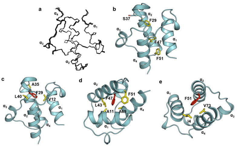 PMC8036411 – ijms-22-03317-f002