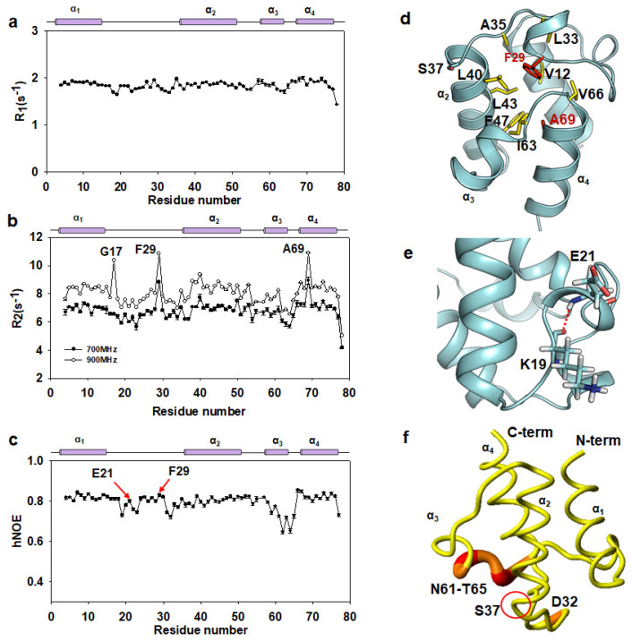 PMC8036411 – ijms-22-03317-f004