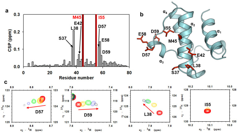 PMC8036411 – ijms-22-03317-f005