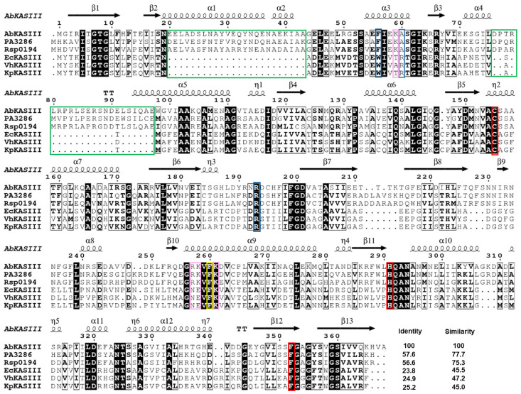 PMC8036411 – ijms-22-03317-f007