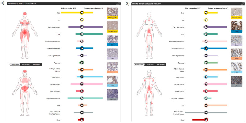 PMC8036872 – ijms-22-03661-f001