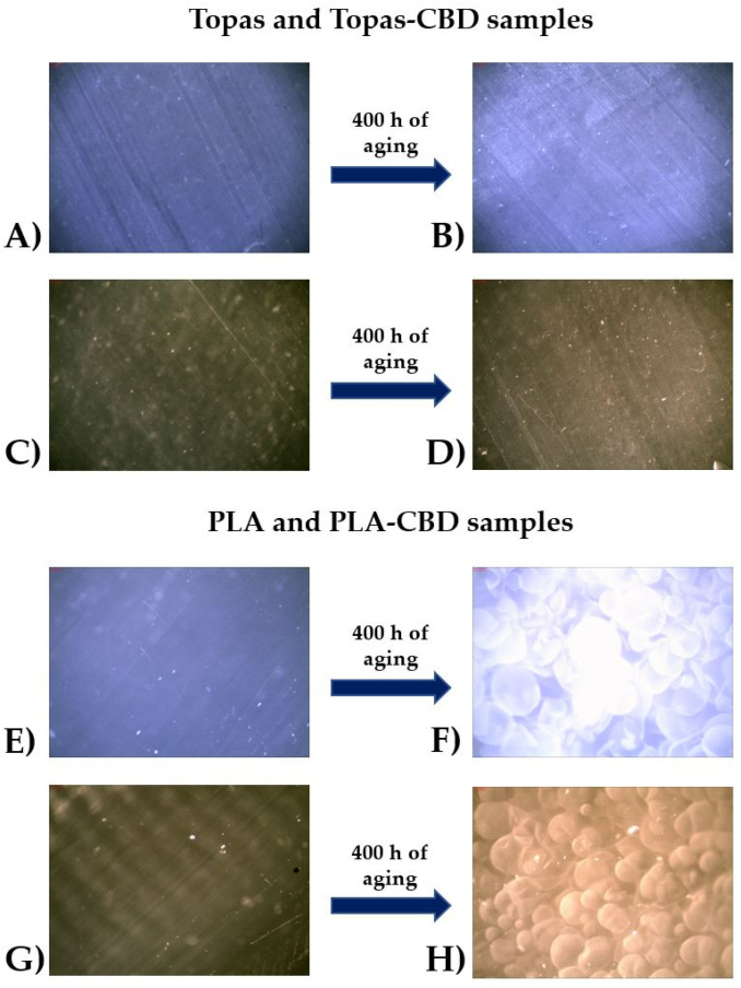 PMC8070550 – ijms-22-04012-f002