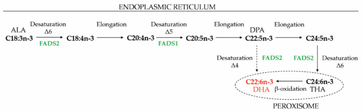 PMC8071455 – ijms-22-04101-f003