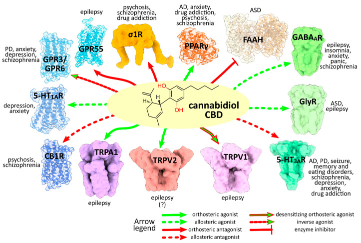 PMC8124847 – ijms-22-04876-f005