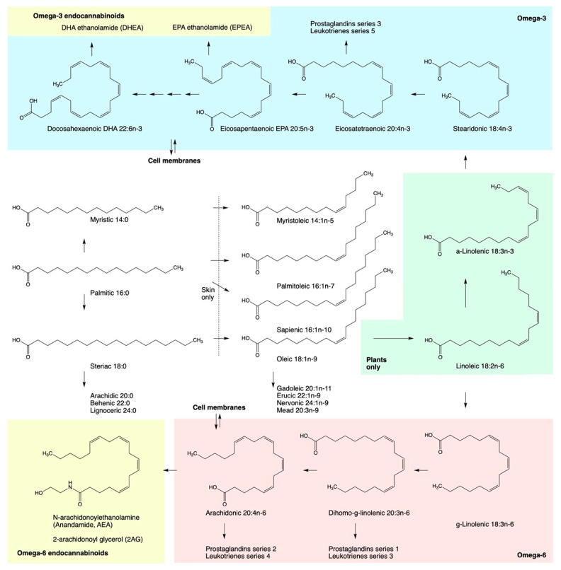 PMC8196941 – ijms-22-05479-f001