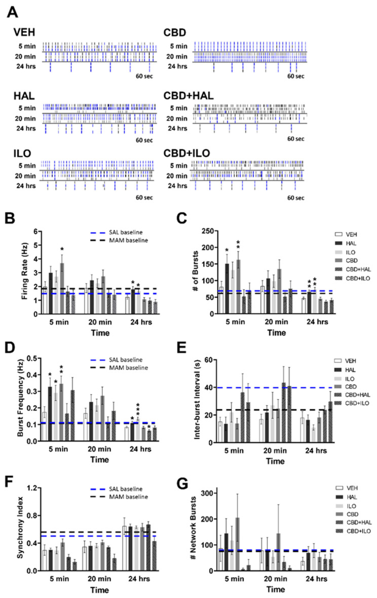 PMC8197248 – ijms-22-05511-f005