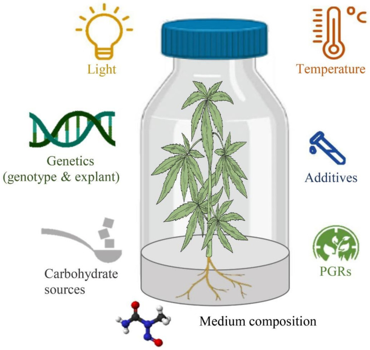 PMC8197860 – ijms-22-05671-f003