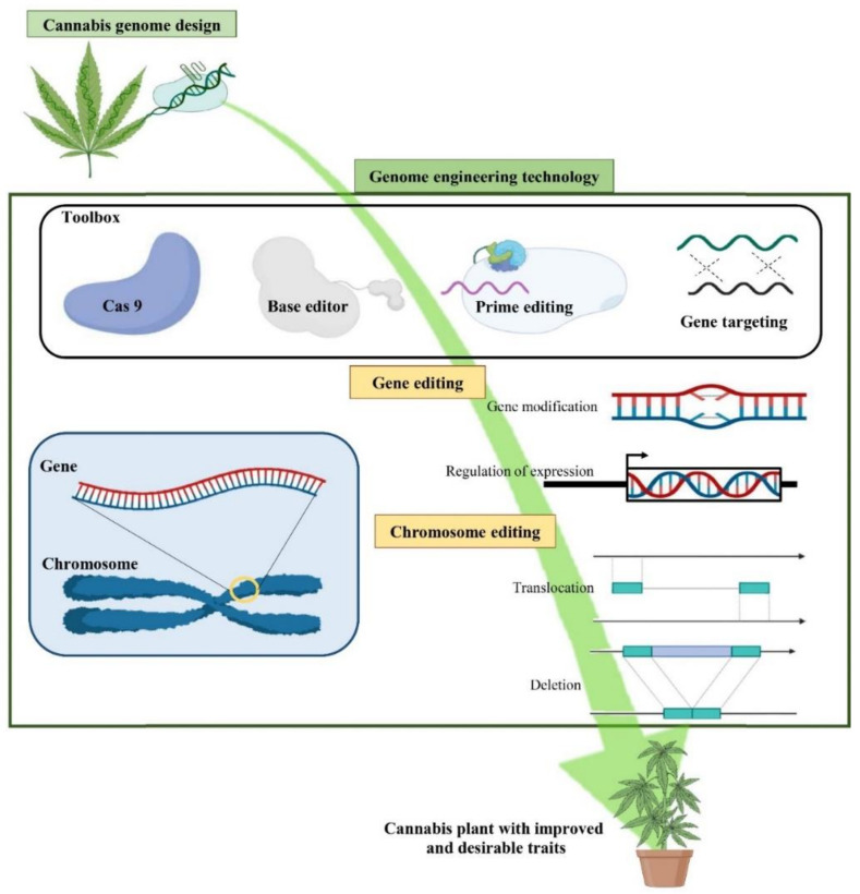 PMC8197860 – ijms-22-05671-f009