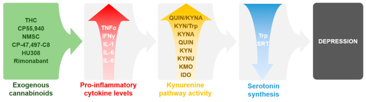 PMC8199129 – ijms-22-05903-f002