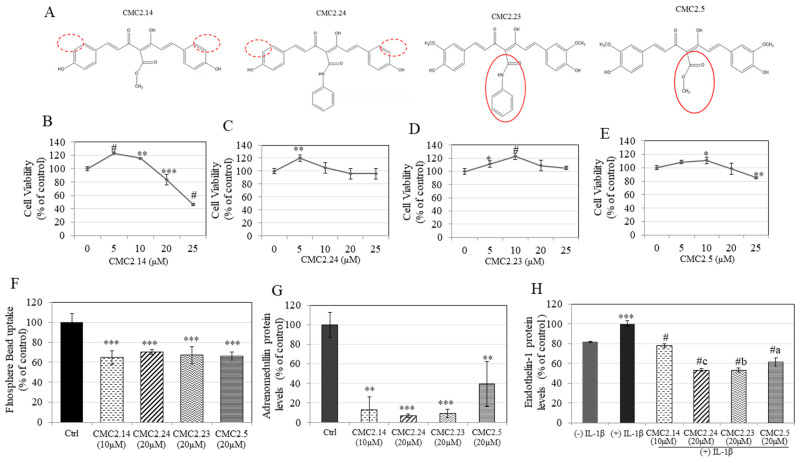 PMC8199869 – ijms-22-06043-f001