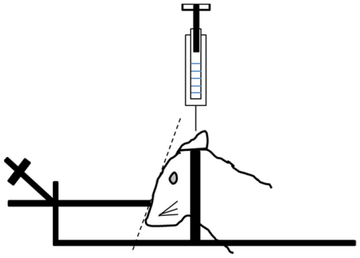 PMC8232809 – ijms-22-06416-f006