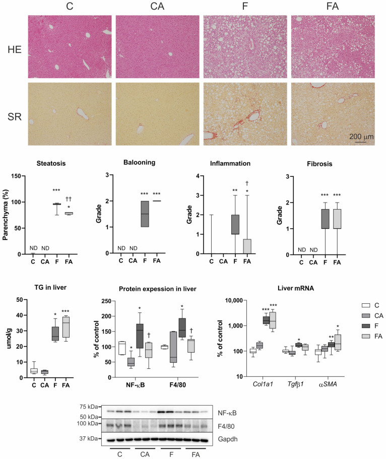 PMC8235314 – ijms-22-06468-f002