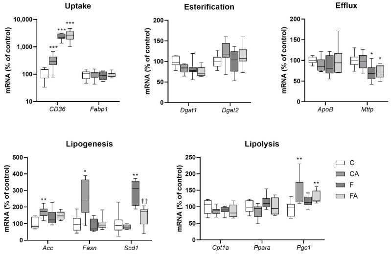 PMC8235314 – ijms-22-06468-f003