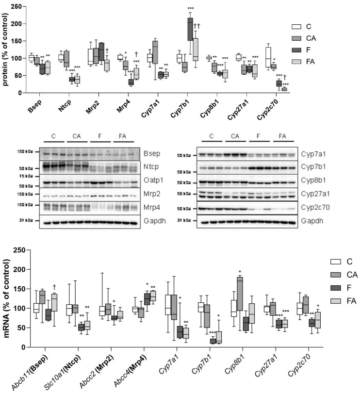 PMC8235314 – ijms-22-06468-f007