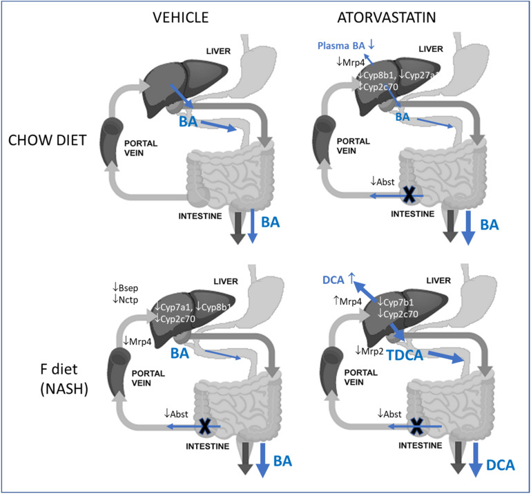 PMC8235314 – ijms-22-06468-f008