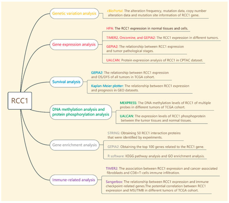 PMC8305170 – ijms-22-07374-f001