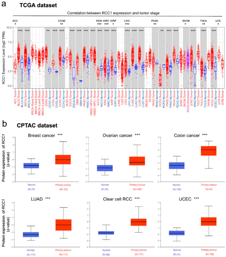 PMC8305170 – ijms-22-07374-f003