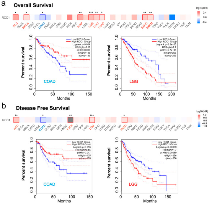 PMC8305170 – ijms-22-07374-f004