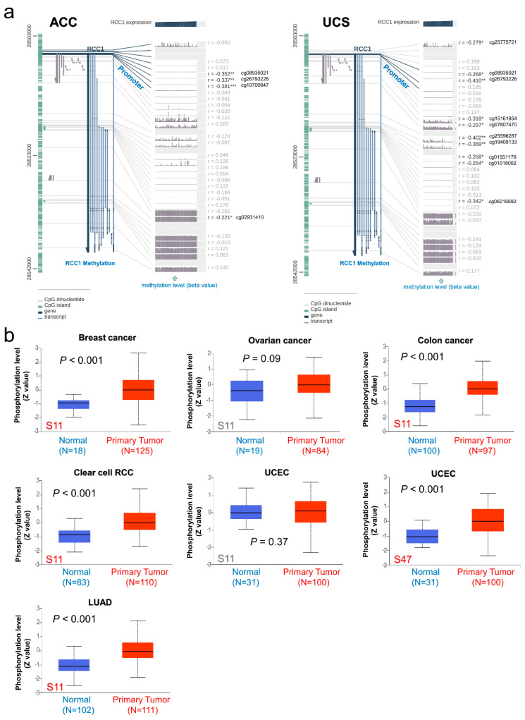 PMC8305170 – ijms-22-07374-f005