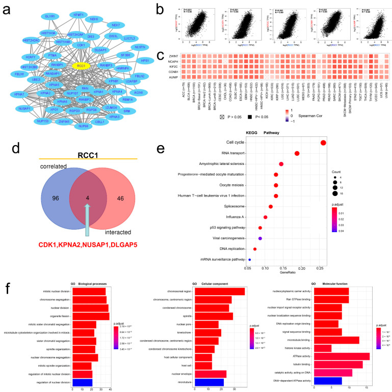 PMC8305170 – ijms-22-07374-f006