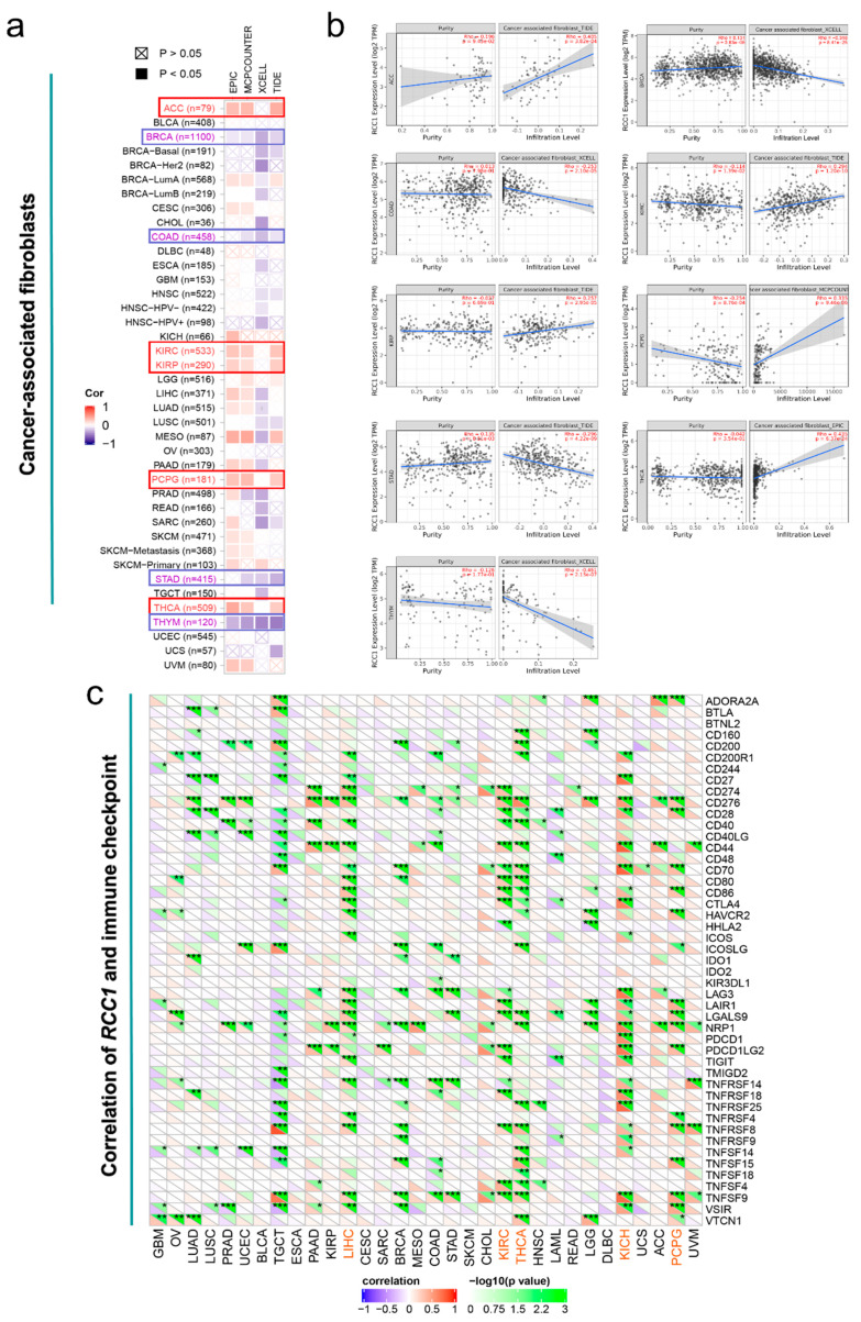 PMC8305170 – ijms-22-07374-f007
