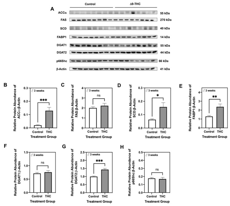 PMC8305322 – ijms-22-07502-f003