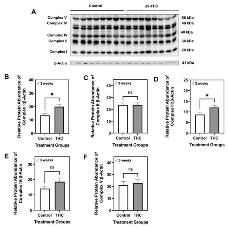 PMC8305322 – ijms-22-07502-f008