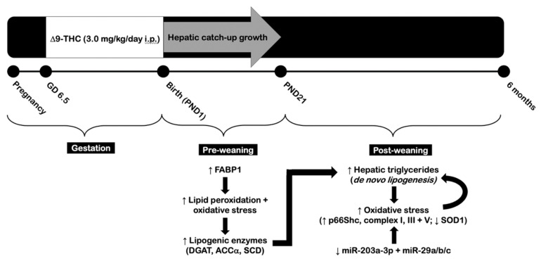 PMC8305322 – ijms-22-07502-f010