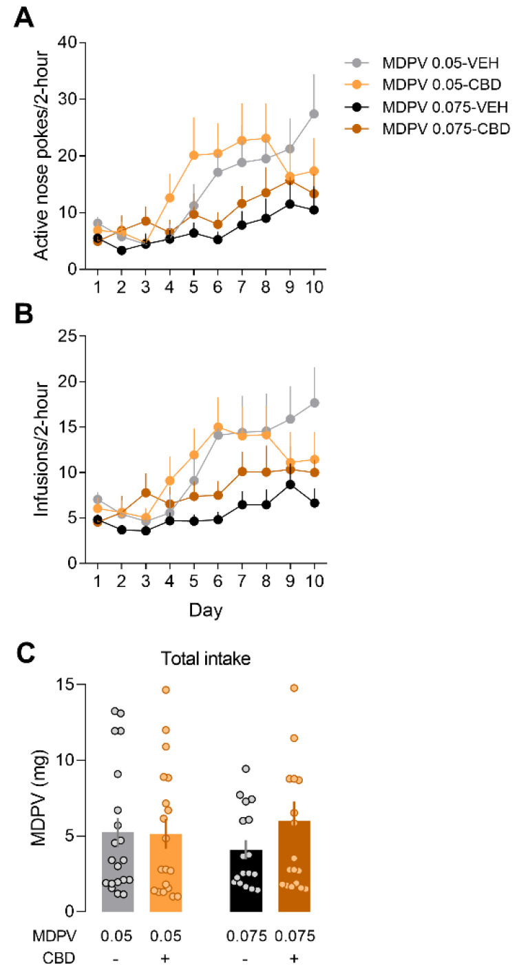 PMC8348800 – ijms-22-08304-f004