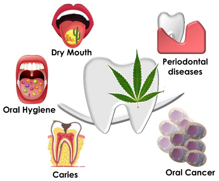 PMC8347083 – ijms-22-08329-f005