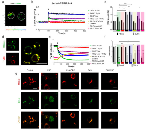 PMC8395529 – ijms-22-08688-f002