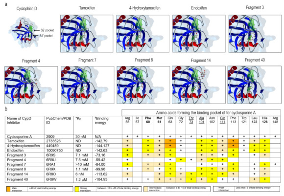 PMC8395529 – ijms-22-08688-f003