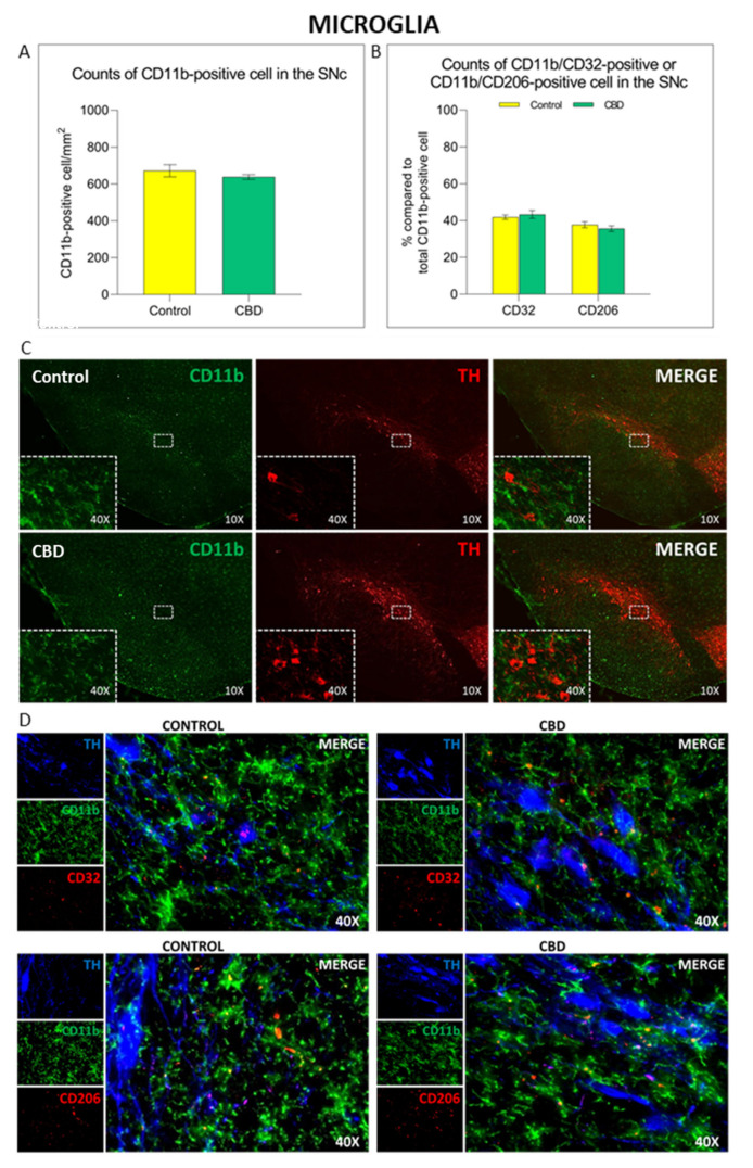 PMC8396349 – ijms-22-08920-f003