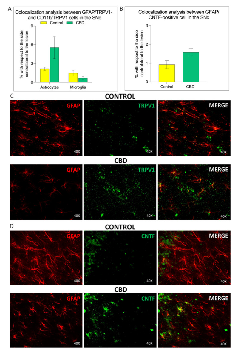 PMC8396349 – ijms-22-08920-f006