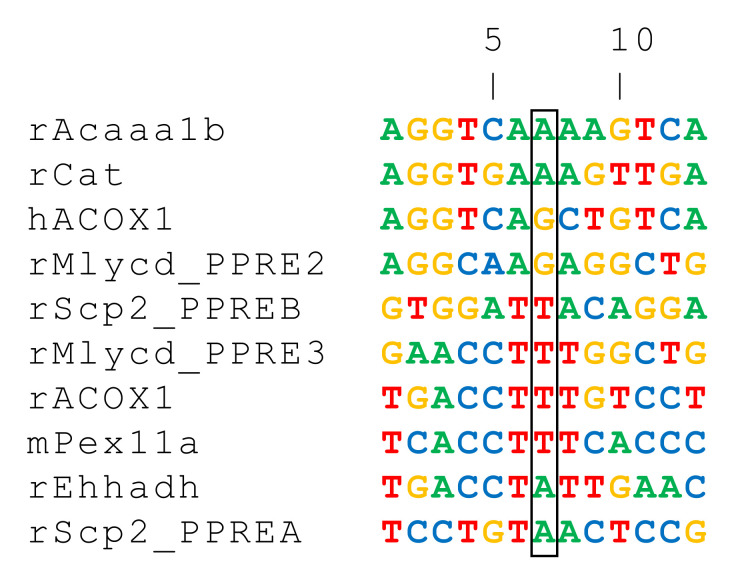 PMC8396561 – ijms-22-08969-f003