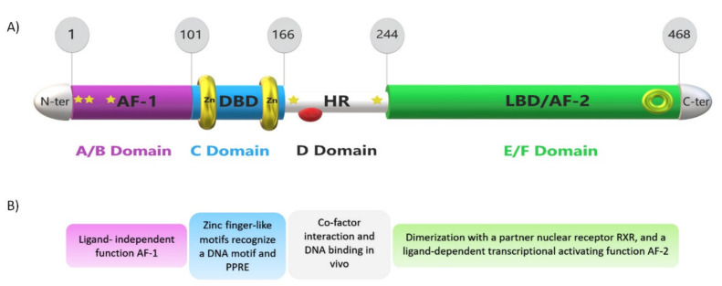 PMC8396561 – ijms-22-08969-f004
