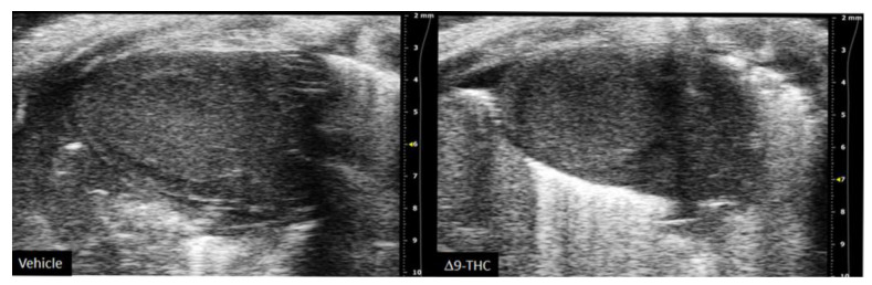 PMC8430813 – ijms-22-09528-f002