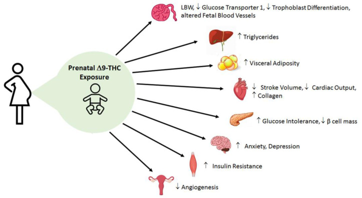 PMC8430813 – ijms-22-09528-f003