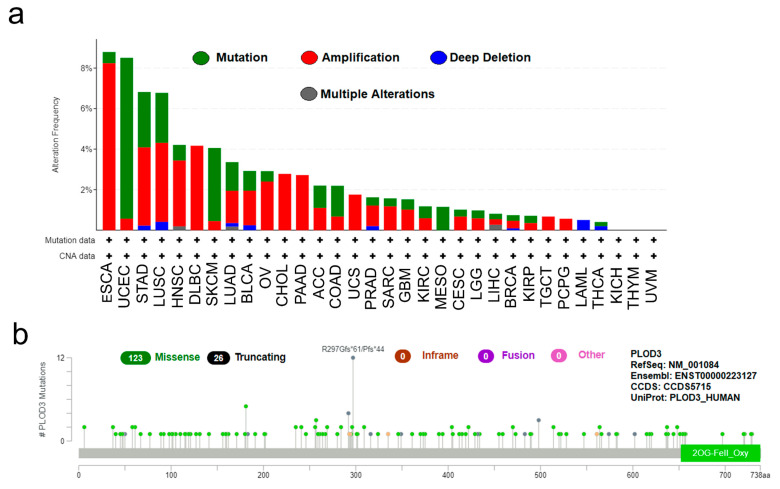 PMC8467482 – ijms-22-09903-f002