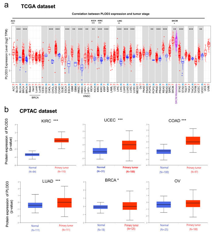 PMC8467482 – ijms-22-09903-f003