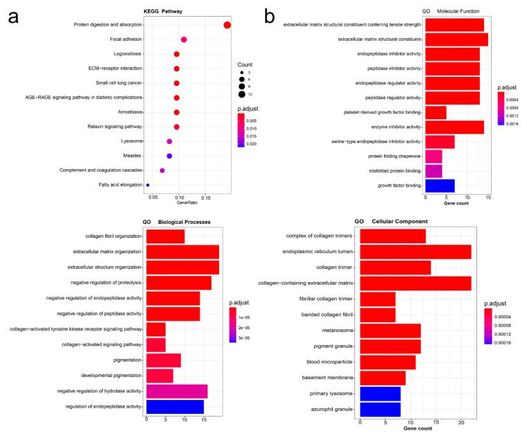 PMC8467482 – ijms-22-09903-f007