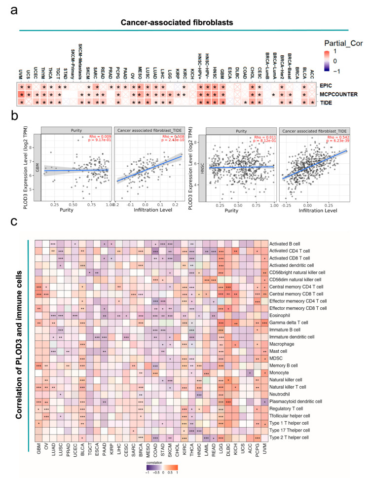 PMC8467482 – ijms-22-09903-f008