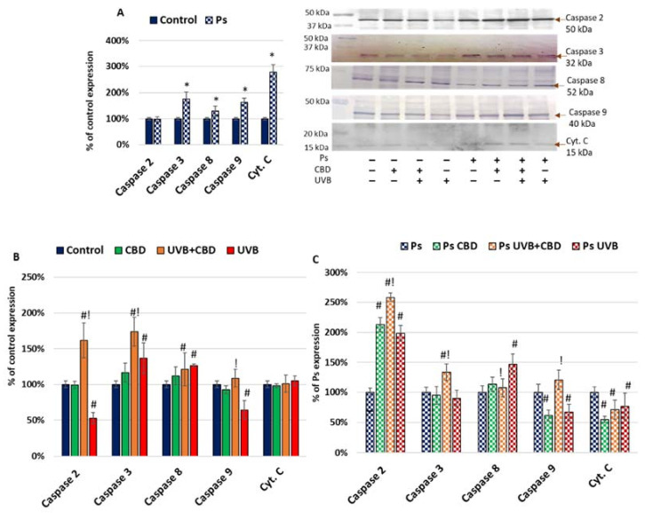 PMC8470797 – ijms-22-09956-f001