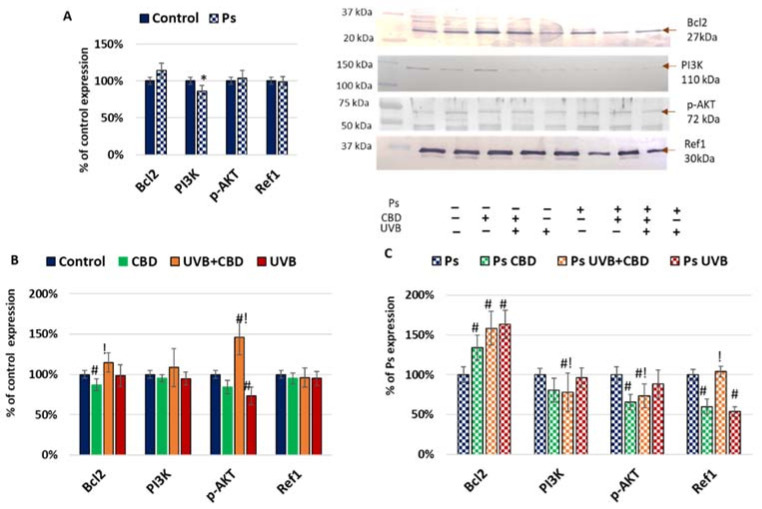 PMC8470797 – ijms-22-09956-f002