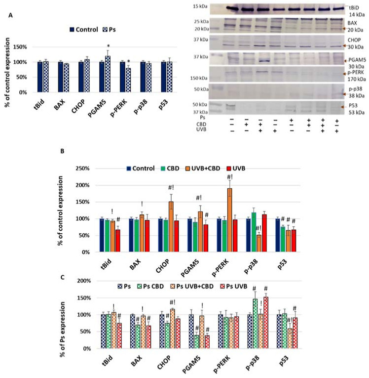 PMC8470797 – ijms-22-09956-f003