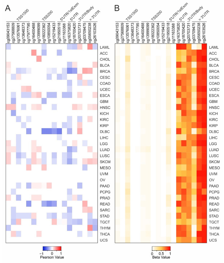 PMC8470126 – ijms-22-10172-f004