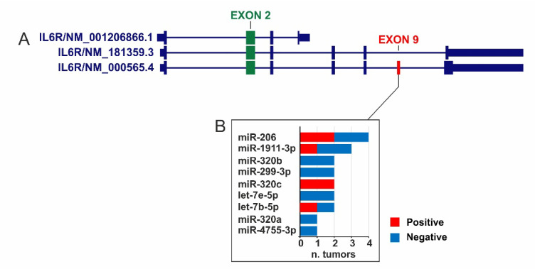 PMC8470126 – ijms-22-10172-f006