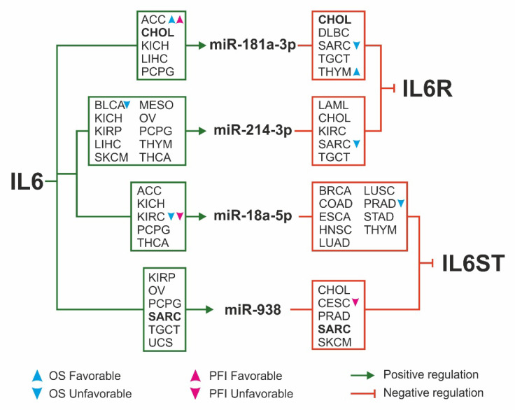 PMC8470126 – ijms-22-10172-f007