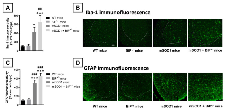 PMC8621319 – ijms-22-12533-f003