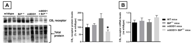 PMC8621319 – ijms-22-12533-f006